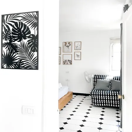 House * コラレホ