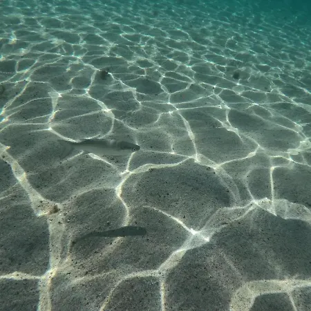 House 아파트 코라레호