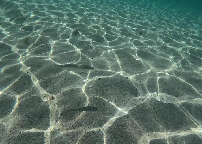 House Apartman Corralejo